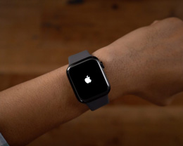  Apple Watch ϽĻͼ