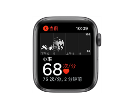 ʹ Apple Watch 쳣