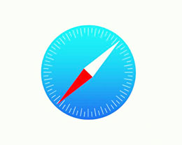 iOS 13 Safari Ķͼʹü