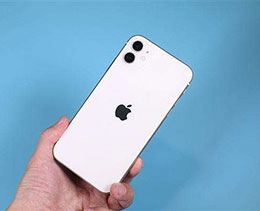 iPhone 11 θ¼Ƶķֱʣ