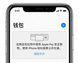 Ϊʲô iOS 13  4 λ룿