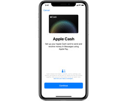 Apple Cash ʲôApple Cash ڹڿͨʹã