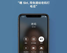 iPhone XS Max  Siri æ绰Ϣ