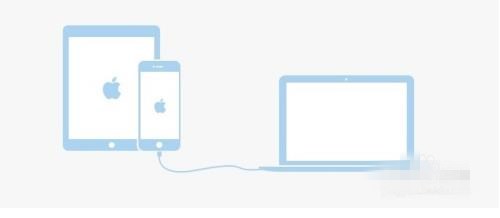 苹果手机和苹果手机怎么导资料
