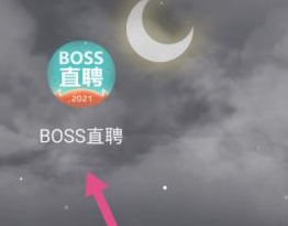 bossֱƸʵ֤ ʵ֤ 1