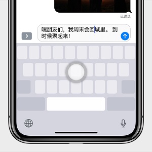 ⼸Сɣ iPhone X 