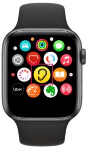 Apple WatchϲˮƽƻֱΧ