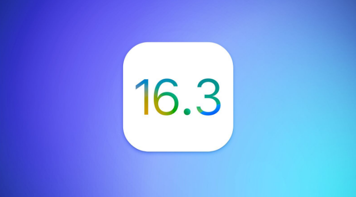 iOS/iPadOS 16.3 Beta1ʲôܣ