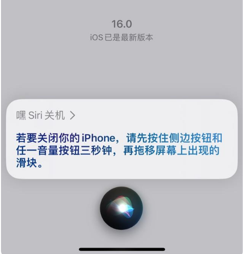 iOS 16 Beta5ΪʲôҪȡSiriػܣ
