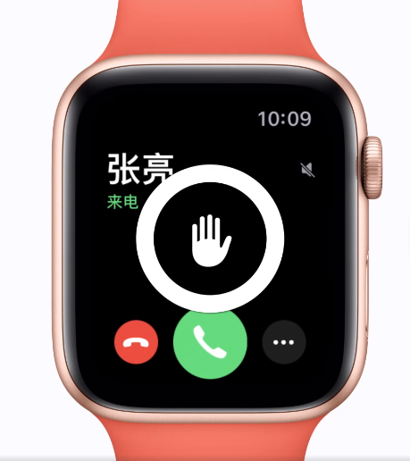 Apple Watch  10 ʵС