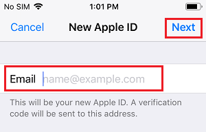  iPhone µ Apple ID ʼַ