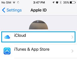 iPhone  Apple ID Ļϵ iCloud ѡ