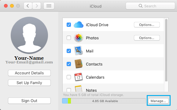  Mac Ϲ iCloud 洢ѡ