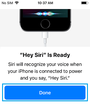 iPhone ϵ Siri ׼