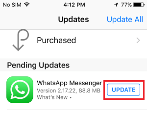  iPhone ϸ WhatsApp