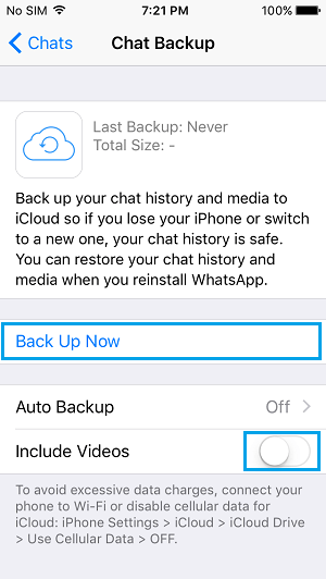  iPhone ϵ WhatsApp Ϣֶݵ iCloud Drive