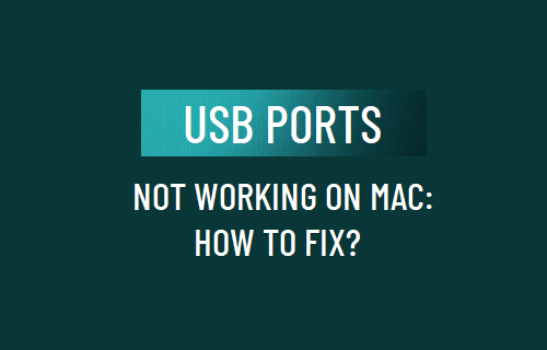 USB ˿ Mac ϲ