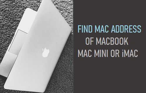  MacBookMac Mini  iMac  MAC ַ