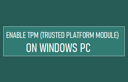  Windows PC  TPMƽ̨ģ飩