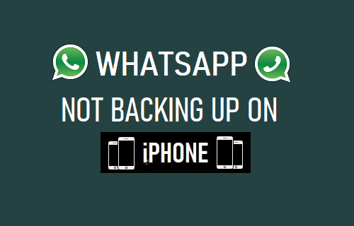 WhatsApp  iPhone ϱ