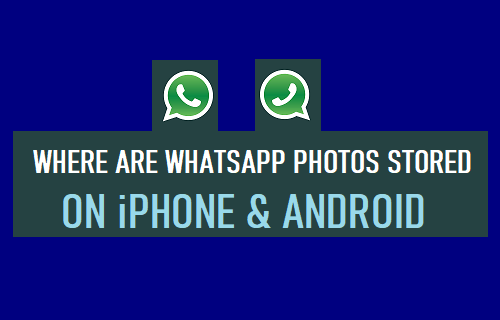 WhatsApp Ƭ洢 iPhone  Android ϵʲôλ