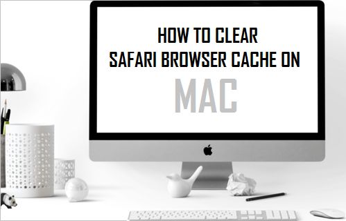  Mac  Safari 