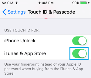  iPhone  Touch ID