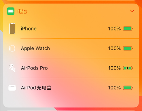 AirPods/AirPods Pro һֻûô죿