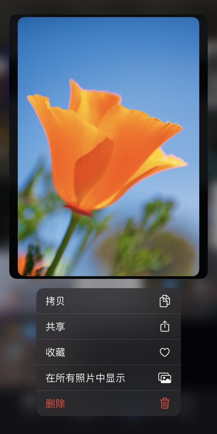 ֧ 3D Touch  iPhone  iOS 13 ±Σ