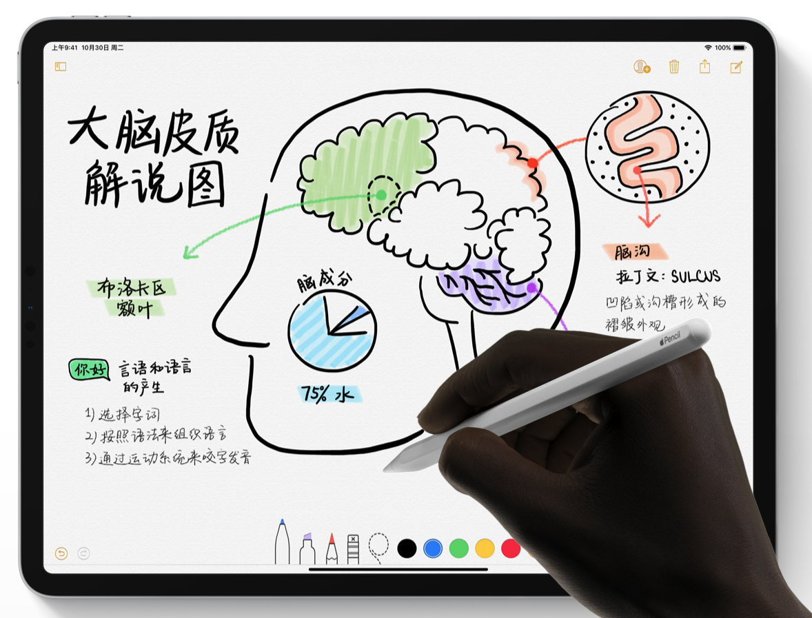 Apple Pencil ΪʲôҪʹãApple Pencil ֵù