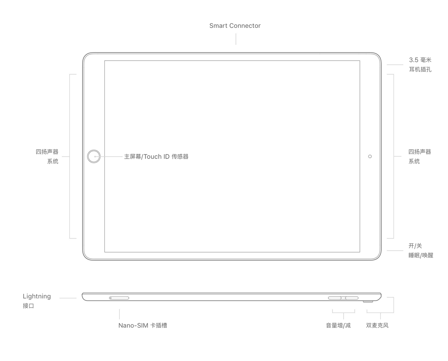 ȫȫ iPad ʶ|iPadiPad Air  iPad Pro ж