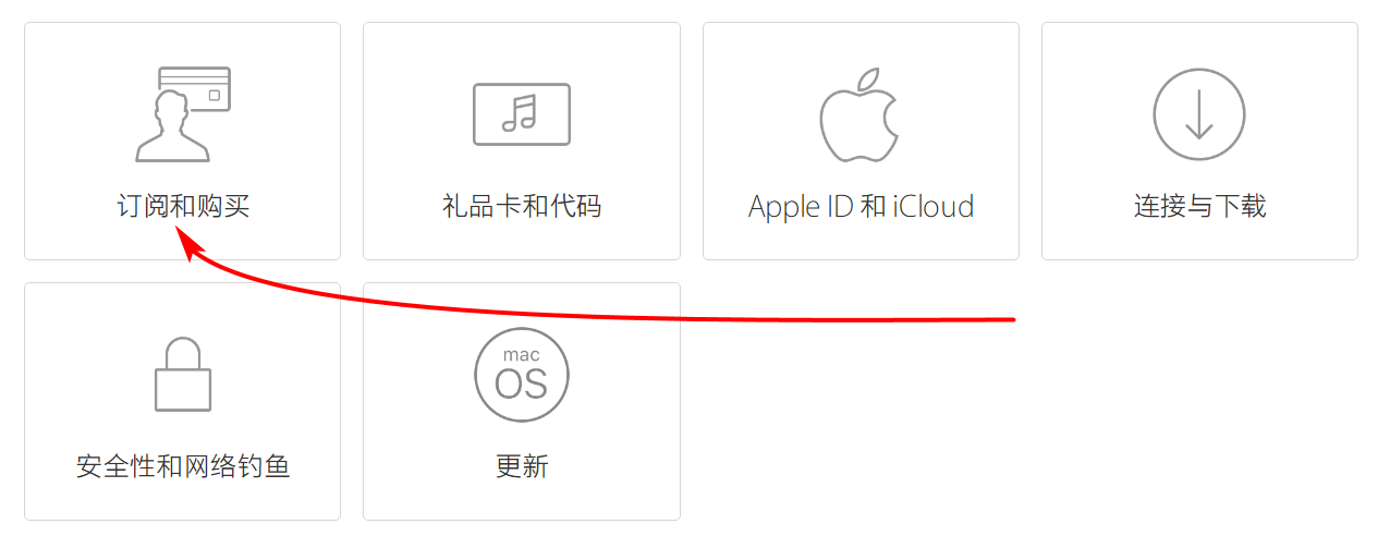  App Store  Apple Music ﹺ˿