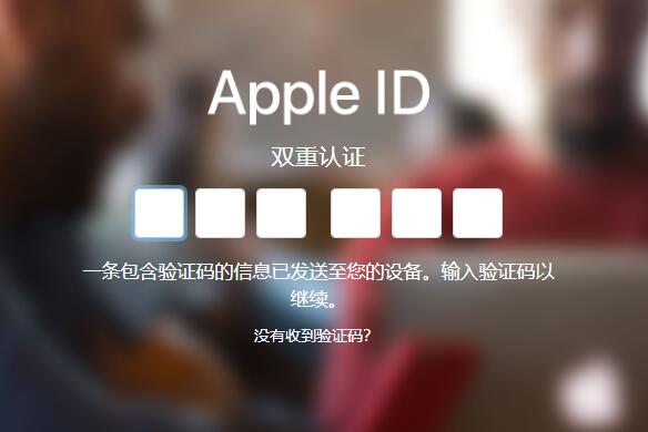 ͨŽ Apple ID ˫֤֤룿