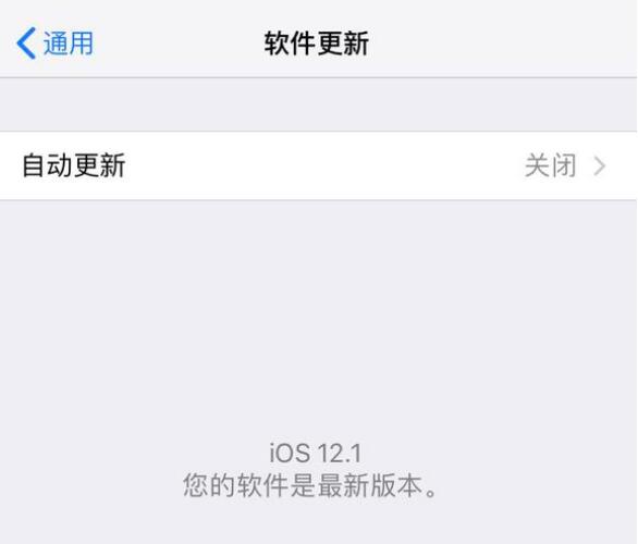 iOS 12.1.1 ʽʲôʱiPhone ʾô죿