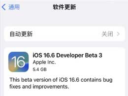 iOS 16.6 beta3½