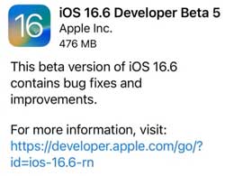 iOS / iPadOS 16.6 Beta 5Щݣ