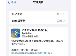 ƻ iOS 16.5.1 ϵͳȫӦ