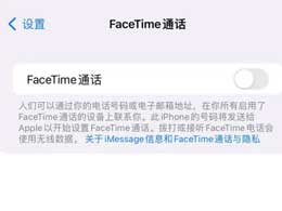 ζFaceTimeթƭ