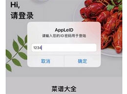 ƻ iPhone ش©ع⣺ Apple ID ˫֤Աˢ