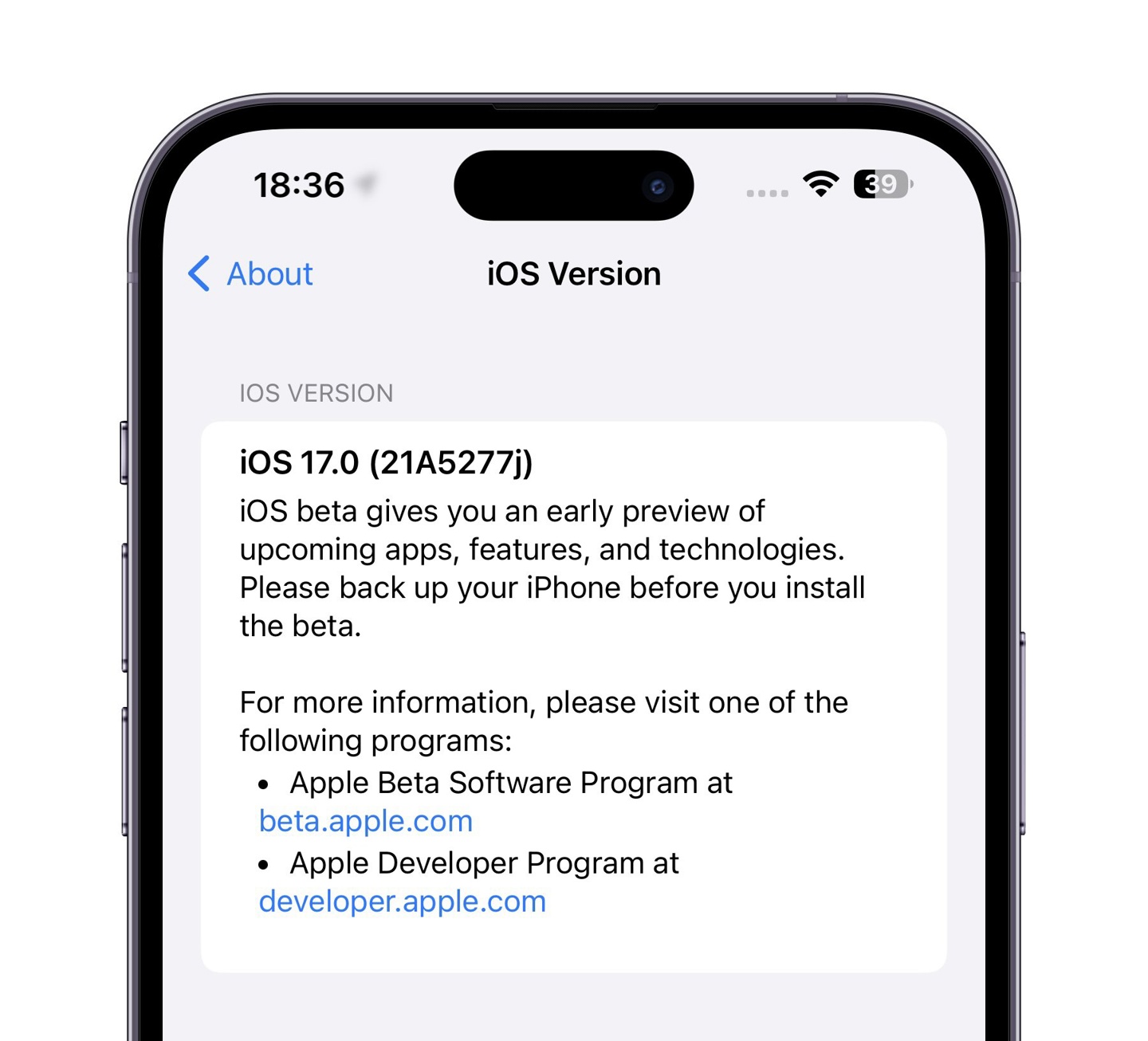 ƻٷ iOS / iPadOS 17 Beta 3 £°汾 21A5277j