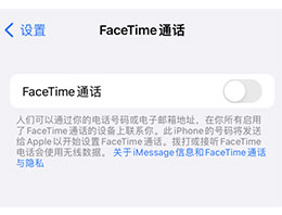 iPhone ûαⱻİ FaceTime ͨթƭɧţ