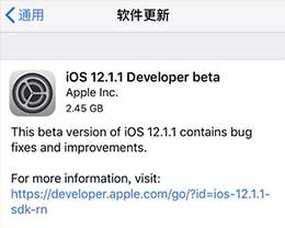 iOS12.1.1 betaЩݣiOS12.1.1 beta