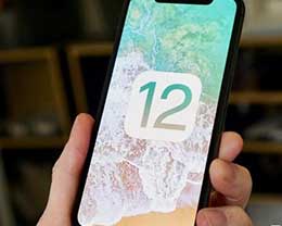 iOS12.1ʽĵiOS12.1ʽô