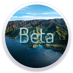 MacmacOS Big Sur Beta 10