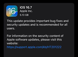 ƻ iOS 16.7/iPadOS 16.7 RC