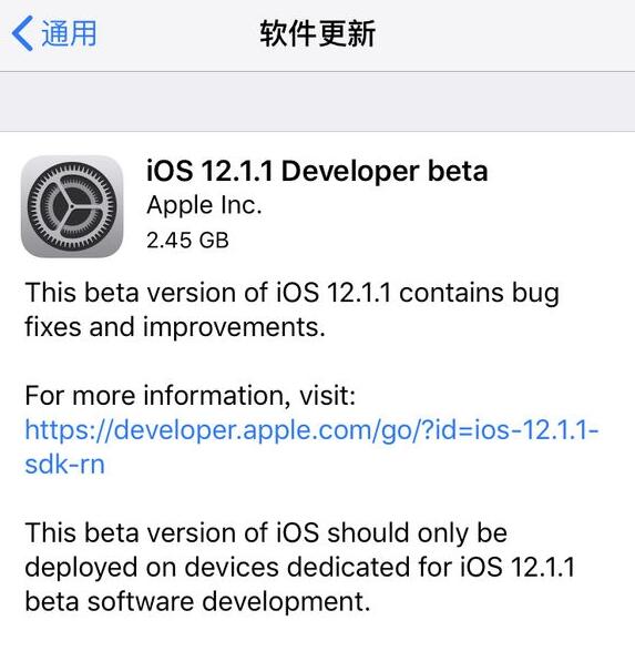 iOS12.1.1 betaЩݣiOS12.1.1 beta