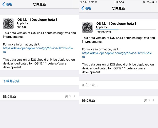 iOS12.1.1 beta 3ЩݣiOS12.1.1 beta 3·