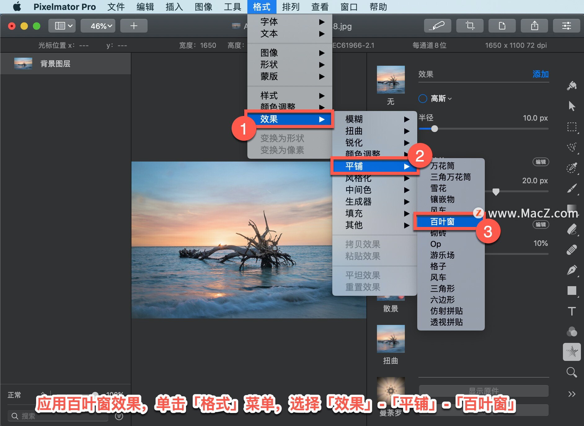 Pixelmator Pro?̡̳125 Pixelmator Pro?ӦðҶЧ