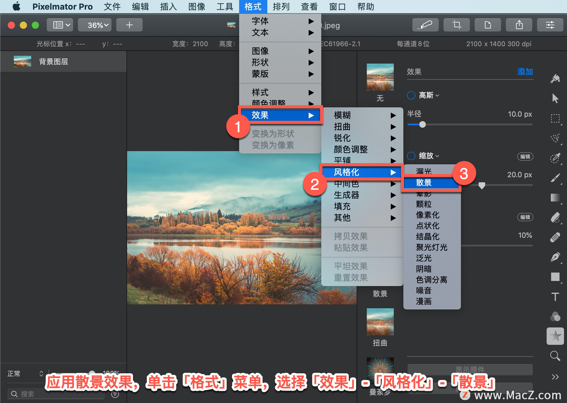 Pixelmator Pro?̡̳133 Pixelmator Pro?Ӧ?ɢЧ