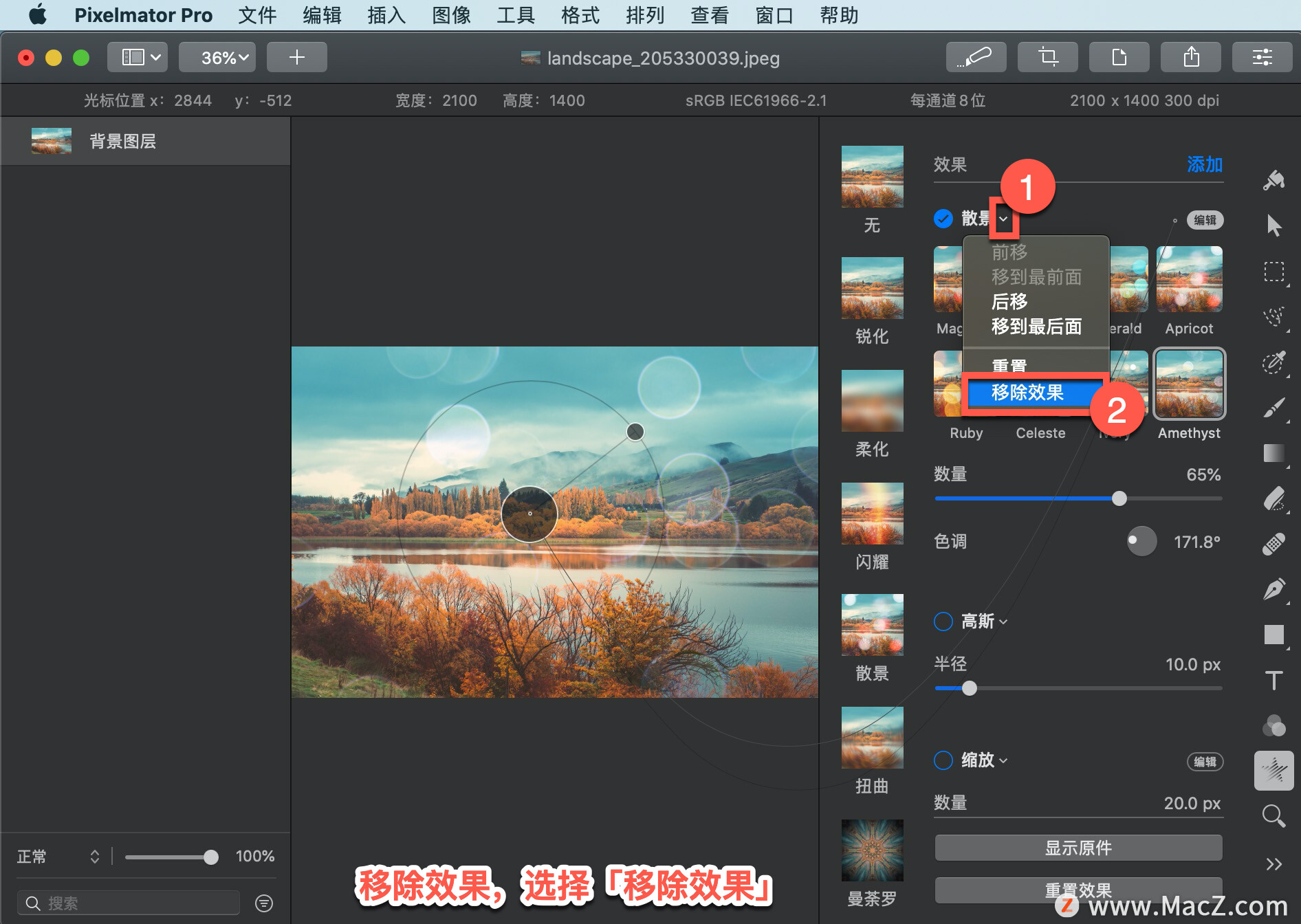 Pixelmator Pro?̡̳133 Pixelmator Pro?Ӧ?ɢЧ